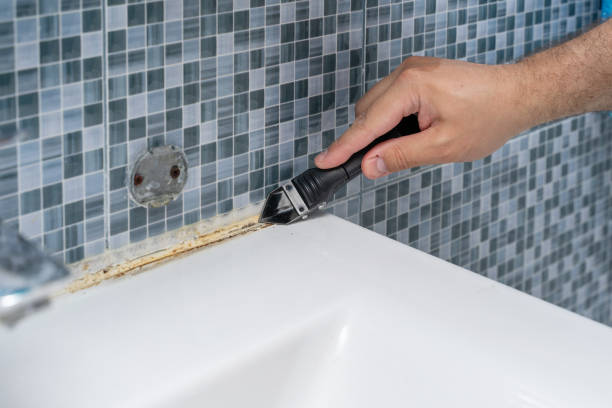 Best Emergency Mold Removal  in Chillicothe, OH